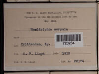 Image Associated With the Occurence